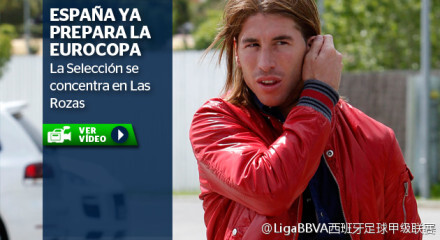 活动种类以 活动种类以